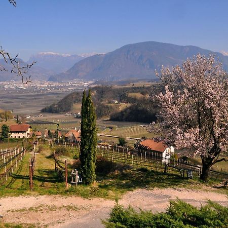 Appartamento Firmelein Appiano Sulla Strada Del Vino Esterno foto